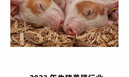 2024生猪期货直播(生猪期货行情2203)_https://www.fshengfa.com_恒生指数直播室_第2张