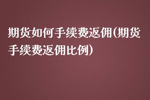 期货如何手续费返佣(期货手续费返佣比例)_https://www.fshengfa.com_非农直播间_第1张