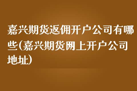 嘉兴期货返佣开户公司有哪些(嘉兴期货网上开户公司地址)_https://www.fshengfa.com_黄金期货直播室_第1张