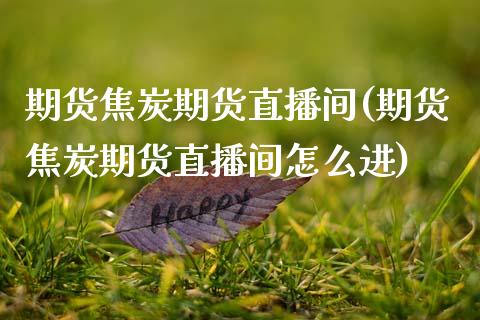 期货焦炭期货直播间(期货焦炭期货直播间怎么进)_https://www.fshengfa.com_恒生指数直播室_第1张