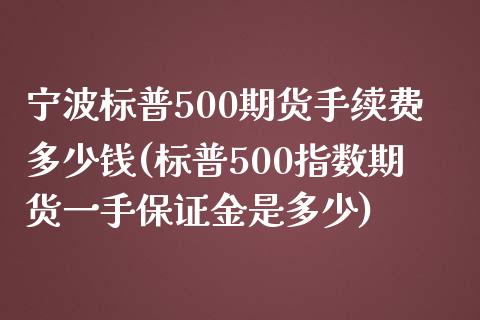 宁波标普500期货手续费多少钱(标普500指数期货一手保证金是多少)_https://www.fshengfa.com_外盘期货直播室_第1张