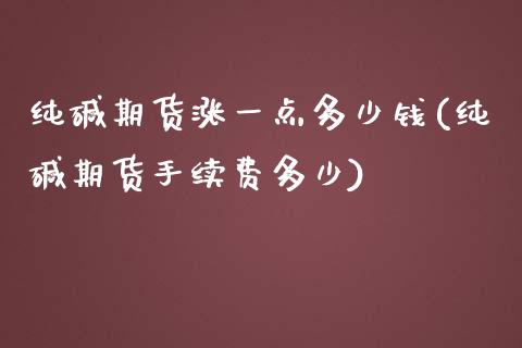 纯碱期货涨一点多少钱(纯碱期货手续费多少)_https://www.fshengfa.com_期货直播室_第1张