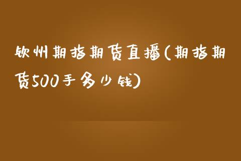 钦州期指期货直播(期指期货500手多少钱)_https://www.fshengfa.com_非农直播间_第1张