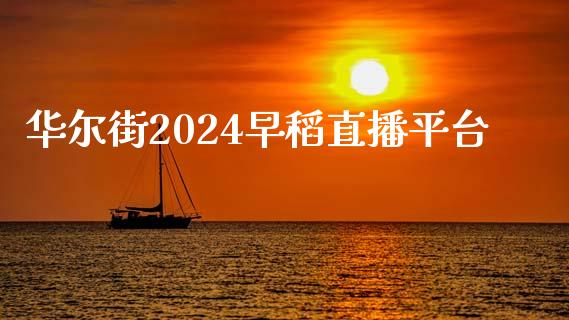 华尔街2024早稻直播平台_https://www.fshengfa.com_恒生指数直播室_第1张