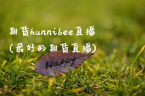 期货hunnibee直播(最好的期货直播)_https://www.fshengfa.com_非农直播间_第1张