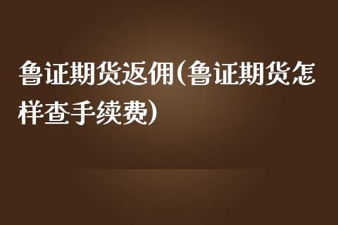 鲁证期货返佣(鲁证期货怎样查手续费)_https://www.fshengfa.com_非农直播间_第1张