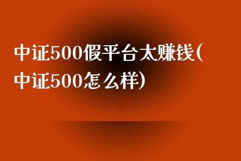 中证500假平台太赚钱(中证500怎么样)_https://www.fshengfa.com_黄金期货直播室_第1张