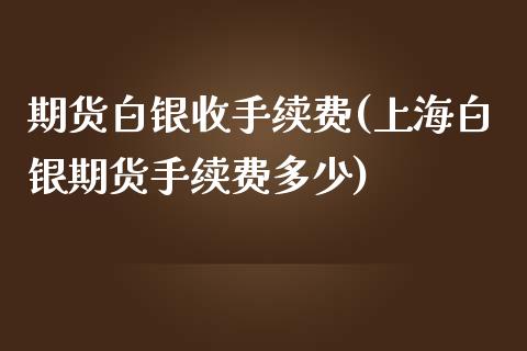 期货白银收手续费(上海白银期货手续费多少)_https://www.fshengfa.com_原油期货直播室_第1张