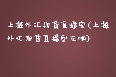 上海外汇期货直播室(上海外汇期货直播室在哪)_https://www.fshengfa.com_外盘期货直播室_第1张