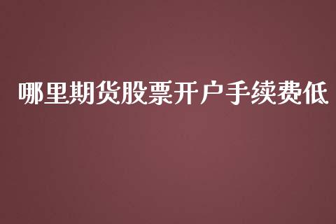 哪里期货股票开户手续费低_https://www.fshengfa.com_黄金期货直播室_第1张