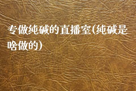 专做纯碱的直播室(纯碱是啥做的)_https://www.fshengfa.com_非农直播间_第1张