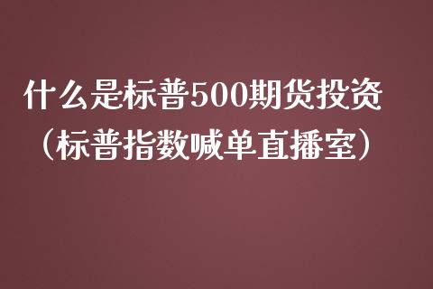 什么是标普500期货投资（标普指数喊单直播室）_https://www.fshengfa.com_黄金期货直播室_第1张