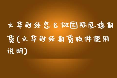 文华财经怎么做国际恒指期货(文华财经期货软件使用说明)_https://www.fshengfa.com_原油期货直播室_第1张