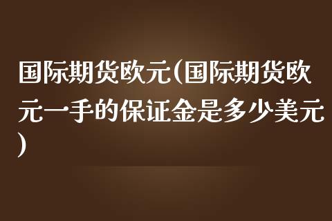 国际期货欧元(国际期货欧元一手的保证金是多少美元)_https://www.fshengfa.com_非农直播间_第1张