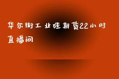 华尔街工业硅期货22小时直播间_https://www.fshengfa.com_黄金期货直播室_第1张