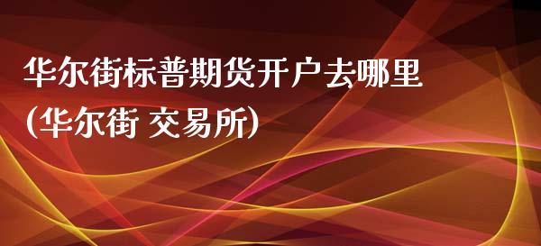 华尔街标普期货开户去哪里(华尔街 交易所)_https://www.fshengfa.com_黄金期货直播室_第1张