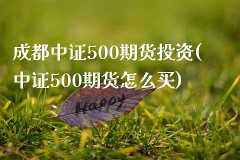 成都中证500期货投资(中证500期货怎么买)_https://www.fshengfa.com_非农直播间_第1张