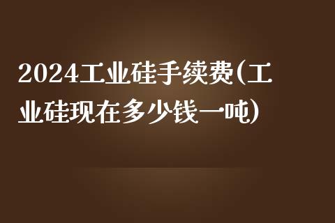 2024工业硅手续费(工业硅现在多少钱一吨)_https://www.fshengfa.com_黄金期货直播室_第1张