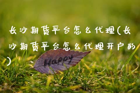 长沙期货平台怎么代理(长沙期货平台怎么代理开户的)_https://www.fshengfa.com_黄金期货直播室_第1张