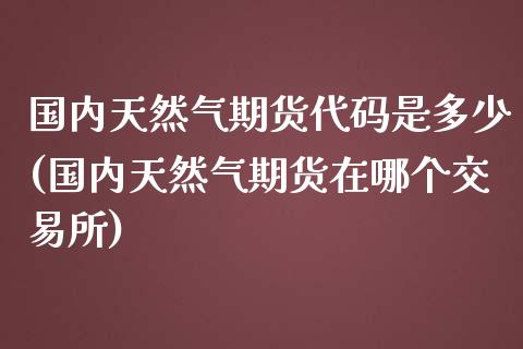 国内天然气期货代码是多少(国内天然气期货在哪个交易所)_https://www.fshengfa.com_非农直播间_第1张