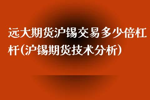 远大期货沪锡交易多少倍杠杆(沪锡期货技术分析)_https://www.fshengfa.com_外盘期货直播室_第1张